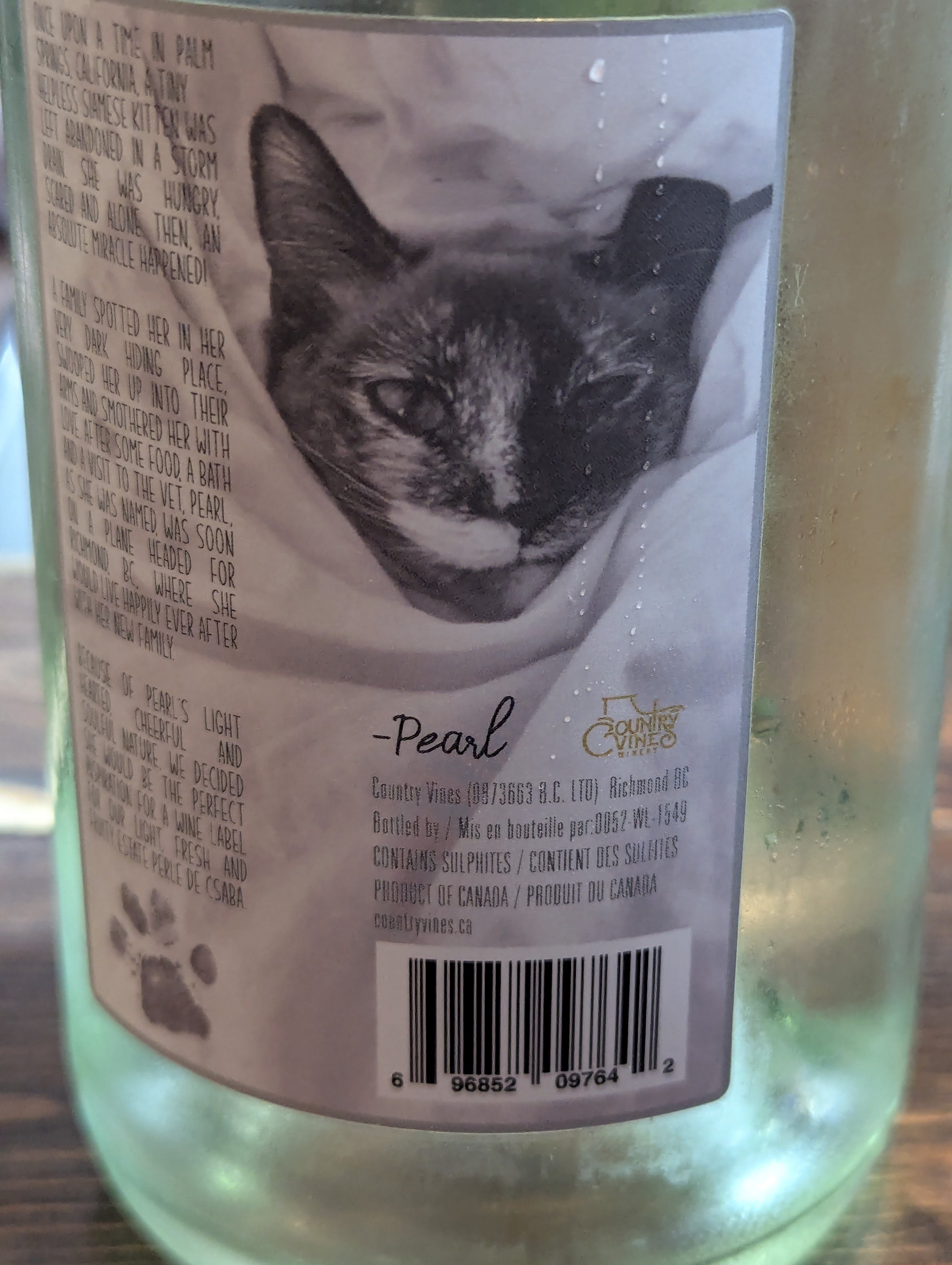 Birthday Trip to Canada, Country Vines Winery, Richmond, British Columbia